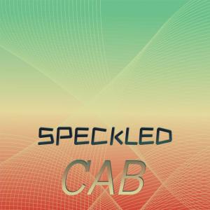 Listen to Speckled Cab song with lyrics from Brord Brot