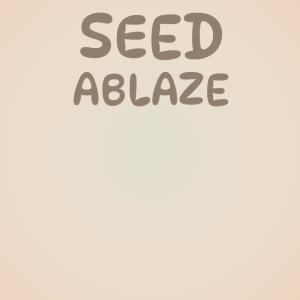 Listen to Attain Everybody song with lyrics from Donal Dehat