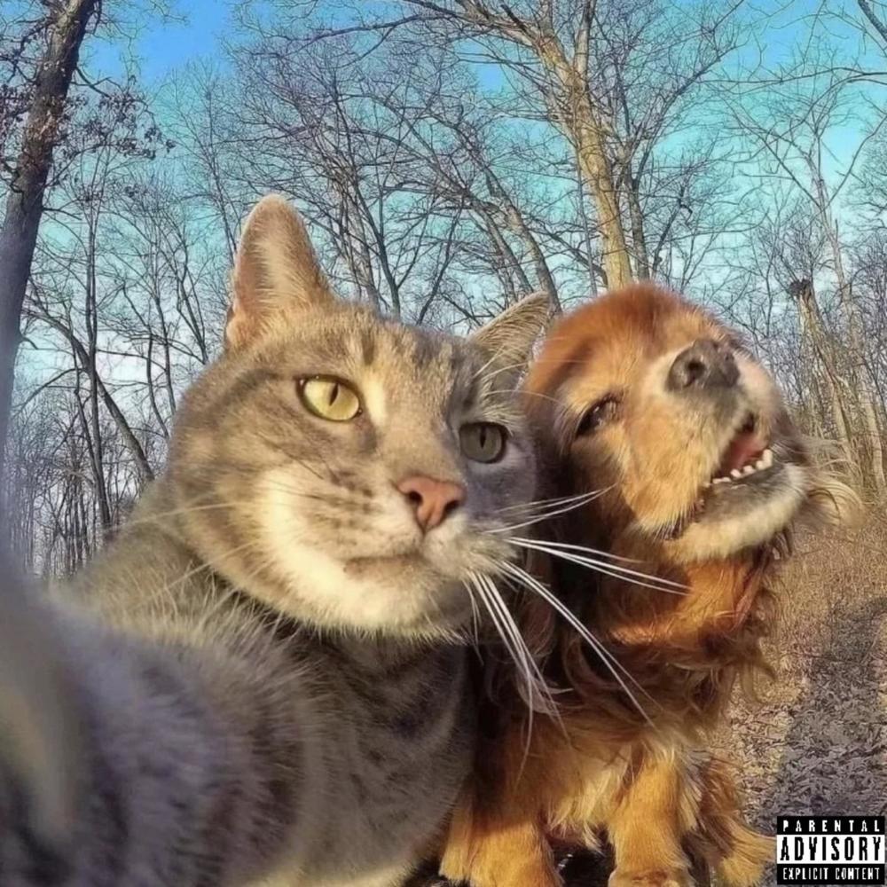 Miss The Old Me (Explicit)