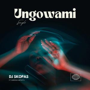 Dj Skopas的專輯Ungowami (Radio Edit)