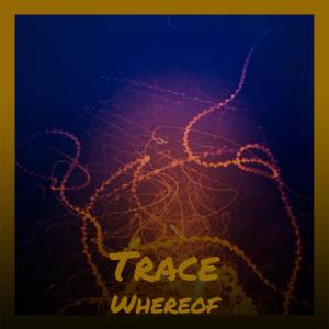 Album Trace Whereof from Various