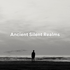 Space Atmosphere的专辑Ancient Silent Realms