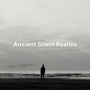 Self Care Meditation的专辑Ancient Silent Realms