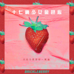 Listen to 十七歲少女金色心 song with lyrics from 脆莓乐队