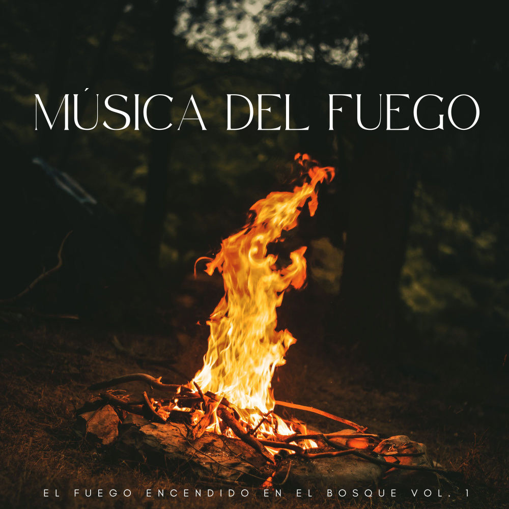 La Relajante Madera En El Fuego