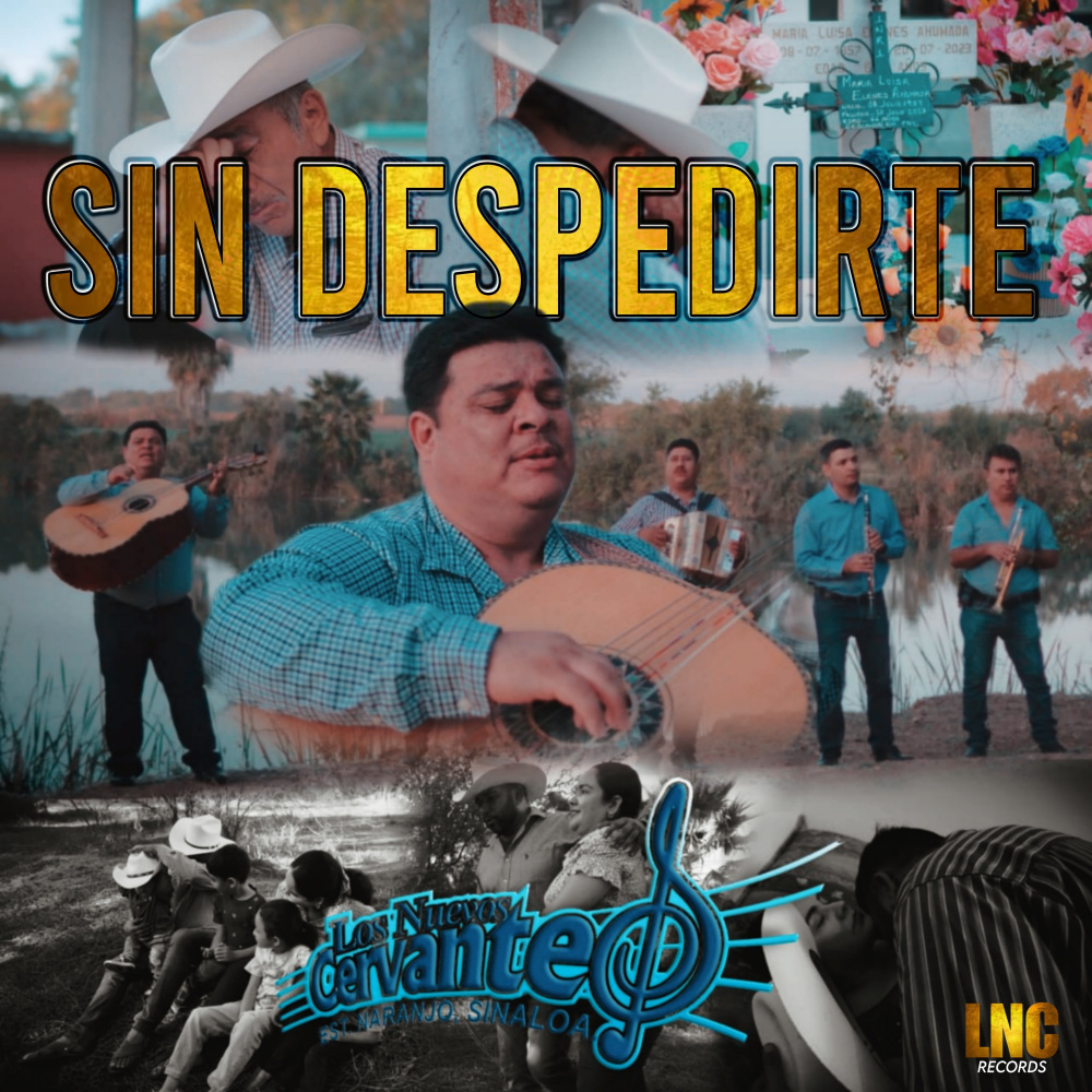 Sin Despedirte