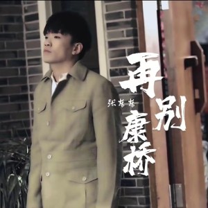 Album 再别康桥-张东东 from 张东东