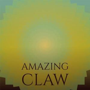 Various Artists的專輯Amazing Claw