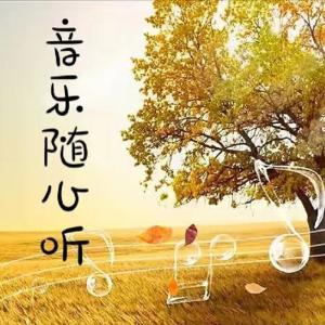 Album 音乐随心听 from 沐夕MuXi