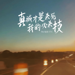 Album 真诚才是杀死我的必杀技 from MuS木杉