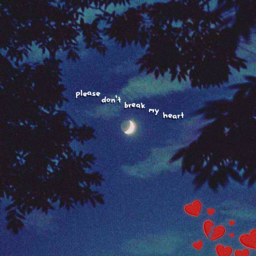 Please Don't Break My Heart