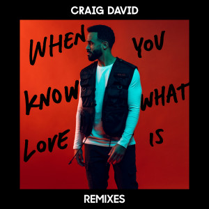 ดาวน์โหลดและฟังเพลง When You Know What Love Is (Majestic Remix) พร้อมเนื้อเพลงจาก Craig David