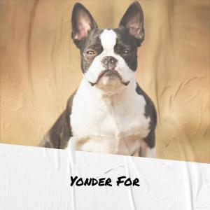 Dengarkan Yonder For lagu dari Margare Lindoe dengan lirik