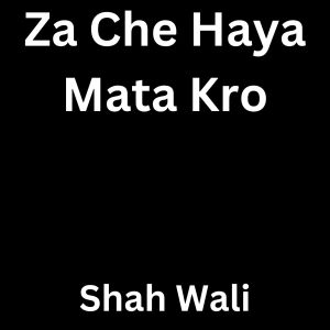 Dengarkan lagu Za Che Haya Mata Kro nyanyian Shah Wali dengan lirik