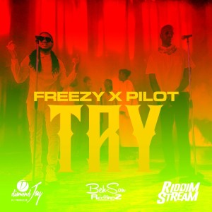 Listen to Try song with lyrics from Freezyy