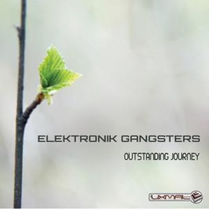 收听Elektronik Gangsters的Change Life (Original Mix)歌词歌曲