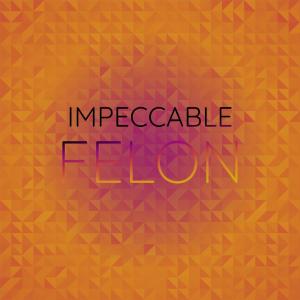 Listen to Morganite Mcdonald song with lyrics from Ermela Kloi