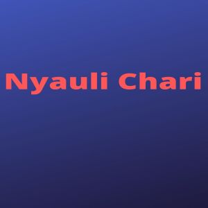 收听Basant lamsal的Nyauli Chari歌词歌曲