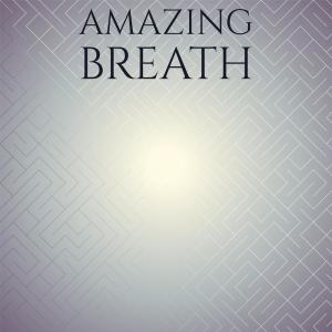 Various的专辑Amazing Breath
