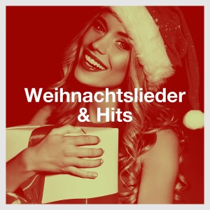 Various Artists的专辑Weihnachtslieder & hits