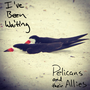 Dengarkan lagu I've Been Waiting nyanyian Pelicans and Their Allies dengan lirik