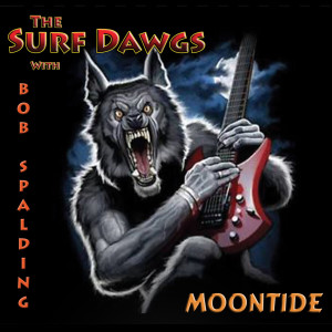 收聽The Surf Dawgs的Eye of the Tiger (其他)歌詞歌曲