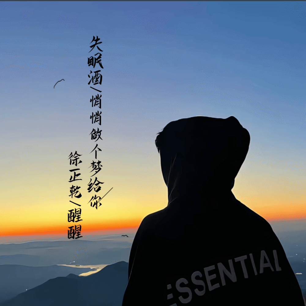 失眠酒 (悄悄做个梦给你) (伴奏)