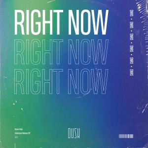 Listen to Right Now (Extended Mix) song with lyrics from SNRS