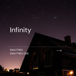 Swattrex的專輯Infinity