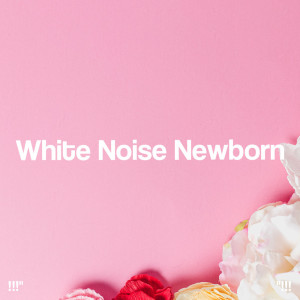 อัลบัม !!!" White Noise Newborn "!!! ศิลปิน White Noise Baby Sleep