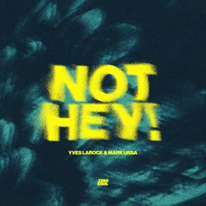 Yves Larock的專輯Not Hey!