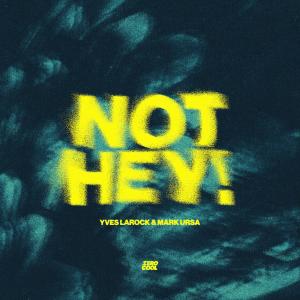 收聽Yves Larock的Not Hey!歌詞歌曲