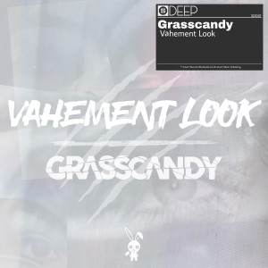 Listen to Vahement Look (Extended Mix) song with lyrics from Grasscandy