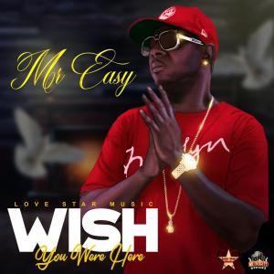 Album Wish You Were Here from Mr Easy