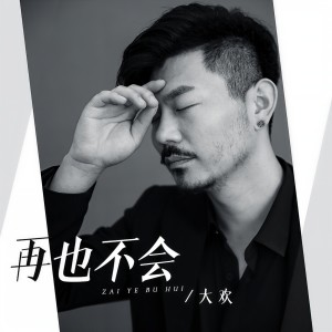 收聽大歡的再也不會歌詞歌曲
