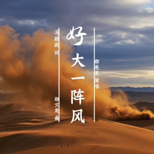 Album 好大一阵风 from 郝亮亮
