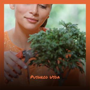 ดาวน์โหลดและฟังเพลง Pushrod Usda พร้อมเนื้อเพลงจาก Ahan Shaam