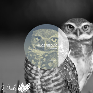 收听Milos Pesovic的Talk To Me歌词歌曲