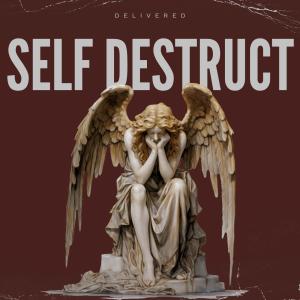 Delivered的專輯Self Destruct (Explicit)