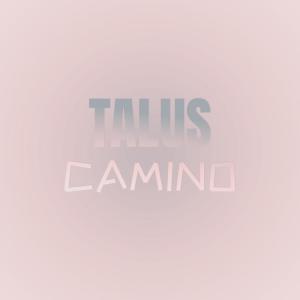 Album Talus Camino oleh Various