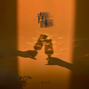 Listen to 青睐 (伴奏) song with lyrics from 聂可以