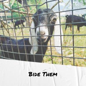 Listen to Anything Eden song with lyrics from Aggie Buken
