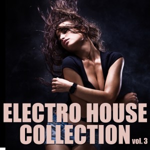 Album Electro House Collection, Vol. 3 oleh Various Artists