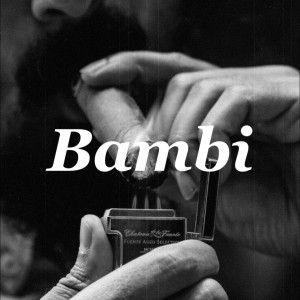 Album Bambi from VZS