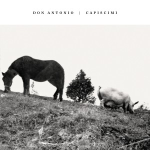 Don Antonio的專輯Capiscimi