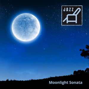 อัลบัม Moonlight Sonata (Jazz Instrumental Cover) ศิลปิน Ludwig van Beethoven