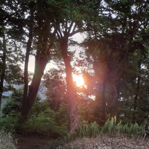 收聽CHAMELEON的《悠, 幽》幻 Humane Warmth歌詞歌曲