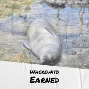 Album Whereunto Earned from 