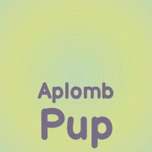 Listen to Aplomb Pup song with lyrics from Niina Maiss