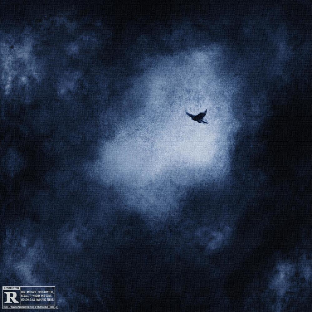 Andor (feat. Sonar) (Explicit)